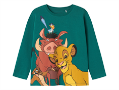 Name It antique green Lion King top